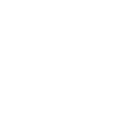 skool logo