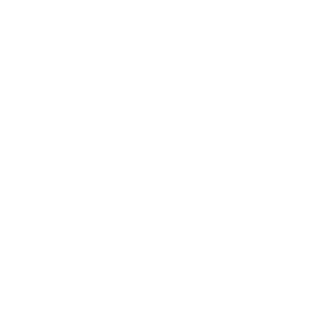 SlimEmail logo