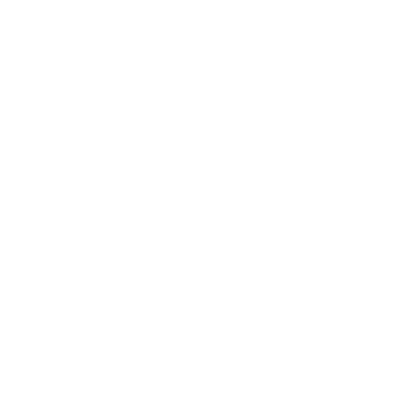 SMSVio logo