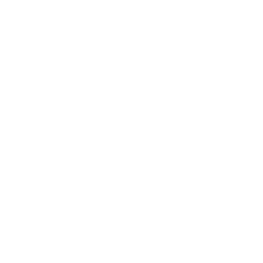 SolarWinds Service Desk logo