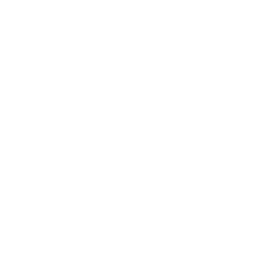 Tally logo