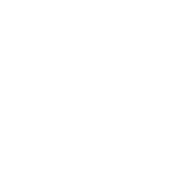 Termii logo