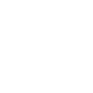 TikTok Lead Forms logo