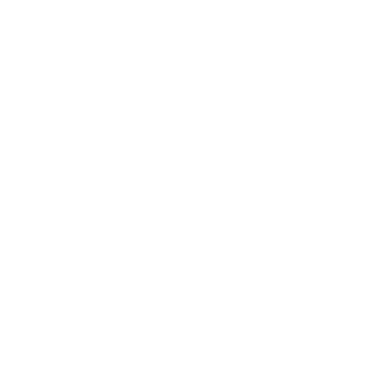 TimeTonic logo