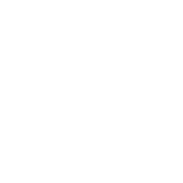 Todoist logo
