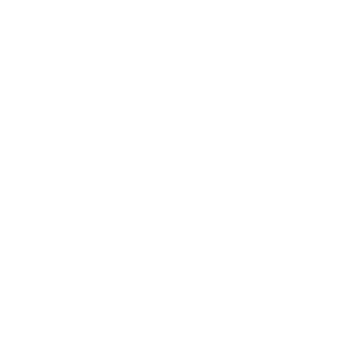 Toggl Plan logo