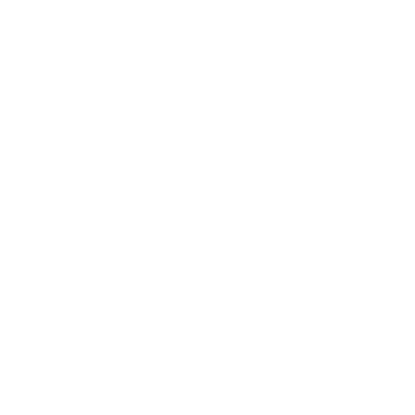 WhatsApp Number Validator logo