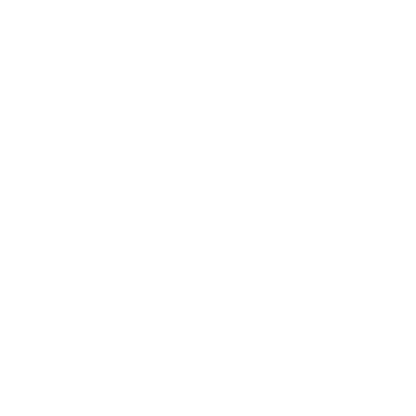 Xelians Datahub logo
