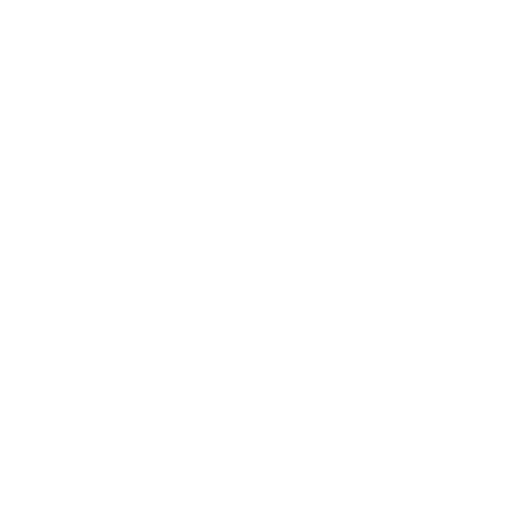Shopify integration icon