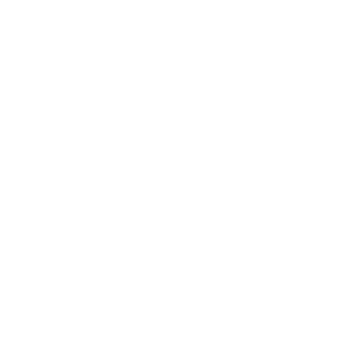 Encryptor logo