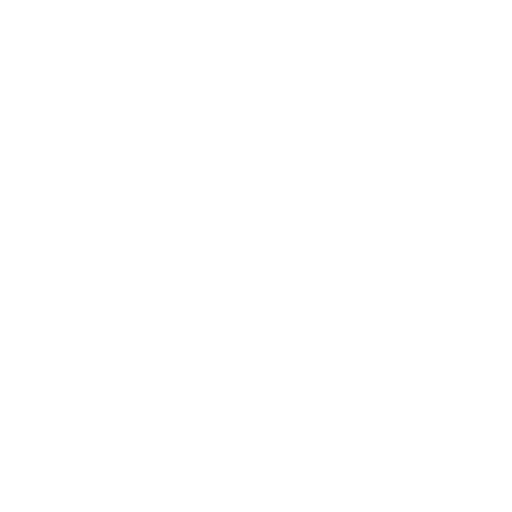 Icon of app VIES API