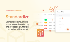 From Chaos to Clarity: How Data Standardization Supercharges Your Business Efficiency