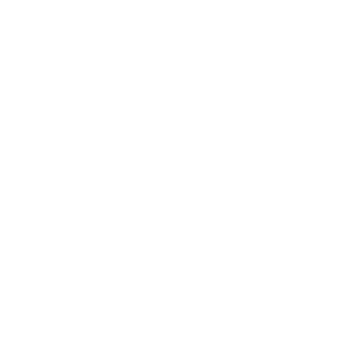 Icon of app BringData.co