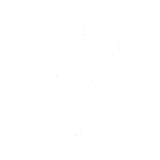 Icon of app Runkeeper