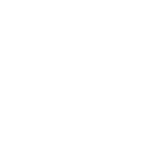 Icon of app Braintree