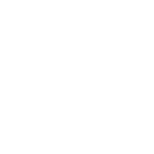 Icon of app LionWheel Delivery