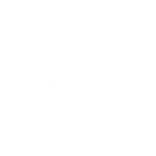 Icon of app PayPal