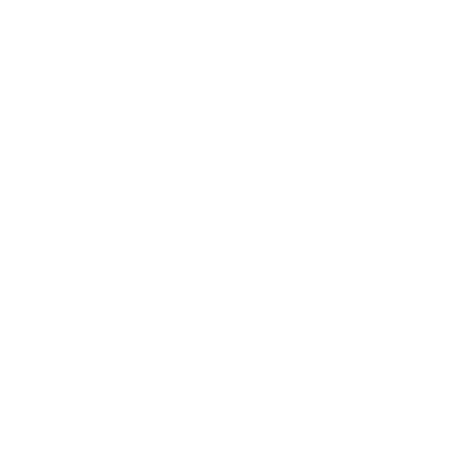 Icon of app Chatwize Connection