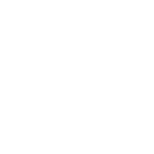 Zoom logo