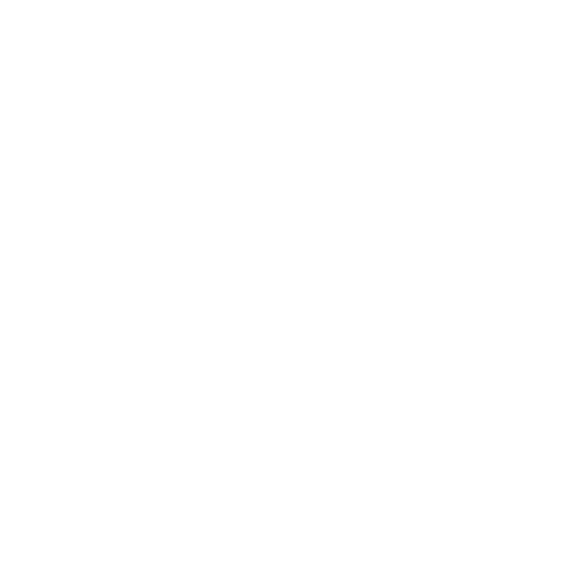 Icon of app DNCSolution